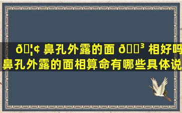 🦢 鼻孔外露的面 🌳 相好吗,鼻孔外露的面相算命有哪些具体说法